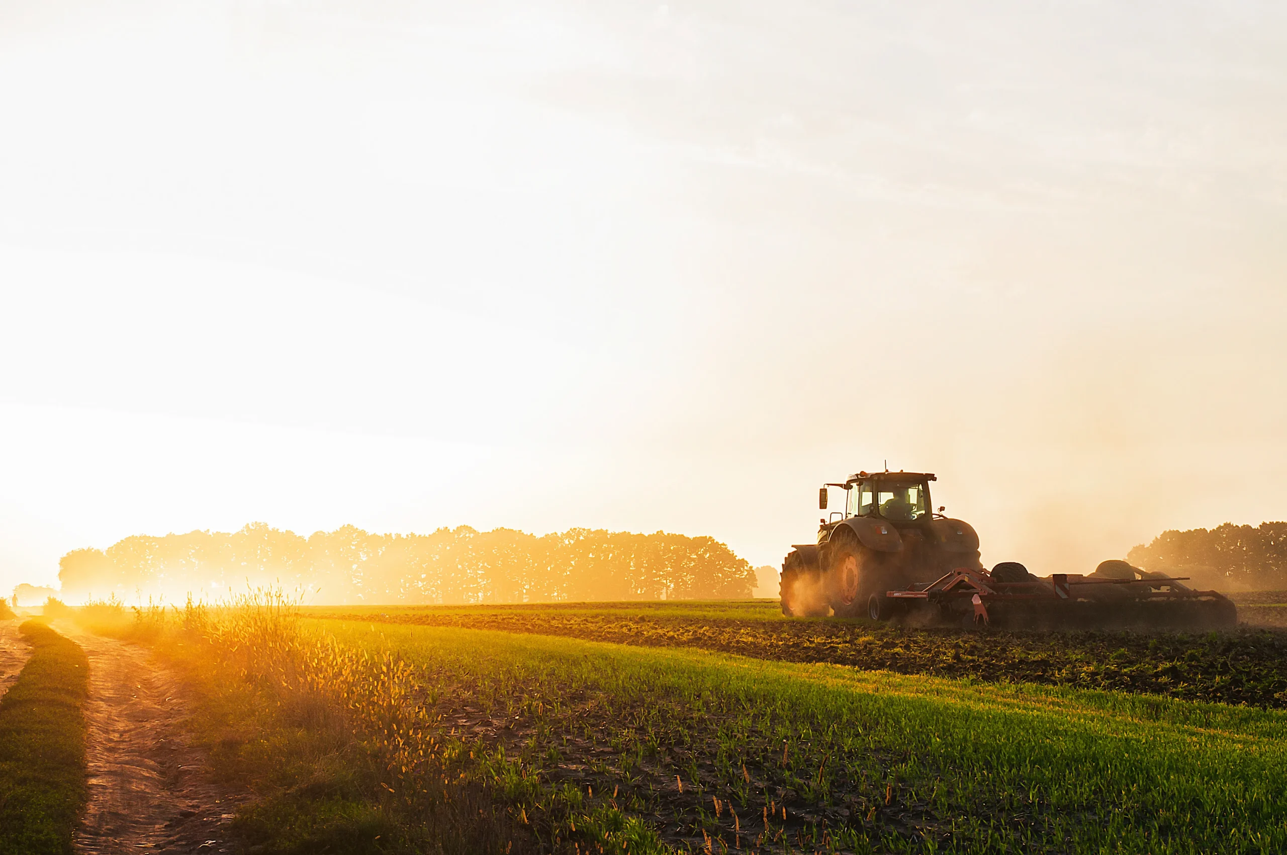 A tractor plows a sunlit field at dawn, creating dust while lush green crops flourish along the edge of the dirt path A tractor plows a sunlit field at dawn, creating dust while lush green crops flourish along the edge of the dirt path