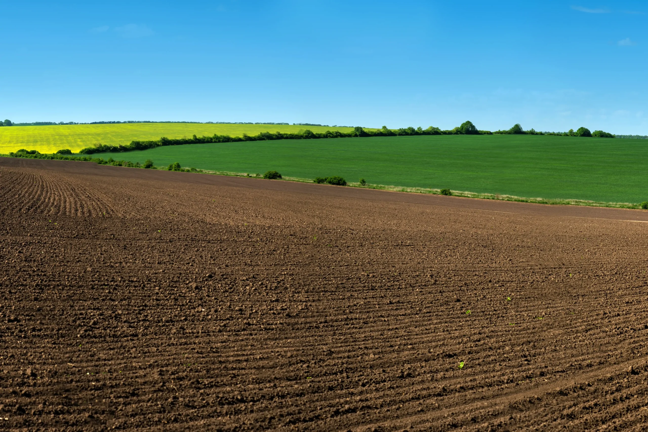 Vast farmland landscape featuring rich brown soil, vibrant green fields, and a bright blue sky, with a gentle horizon line