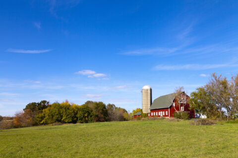 Trueland_Farmland Sales