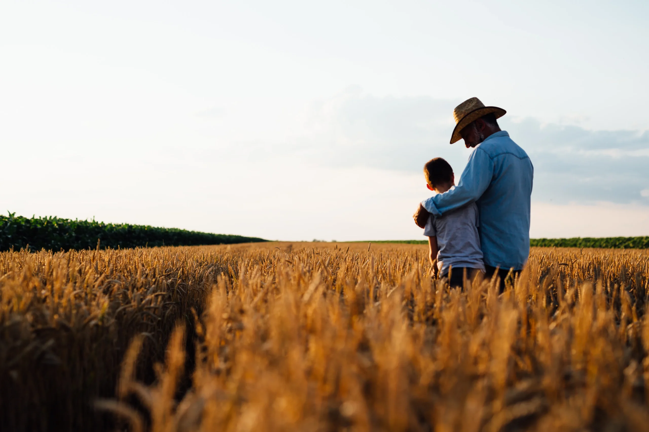 A man and a child stand together in a golden wheat field, gazing out at the horizon under a clear sky
