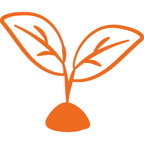 Development & Transitional Land