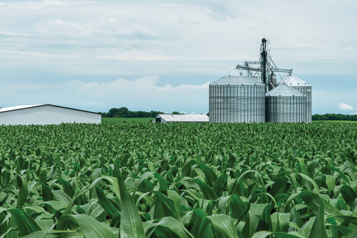 Green cornfield with grain bins and farm buildings under a partly cloudy sky