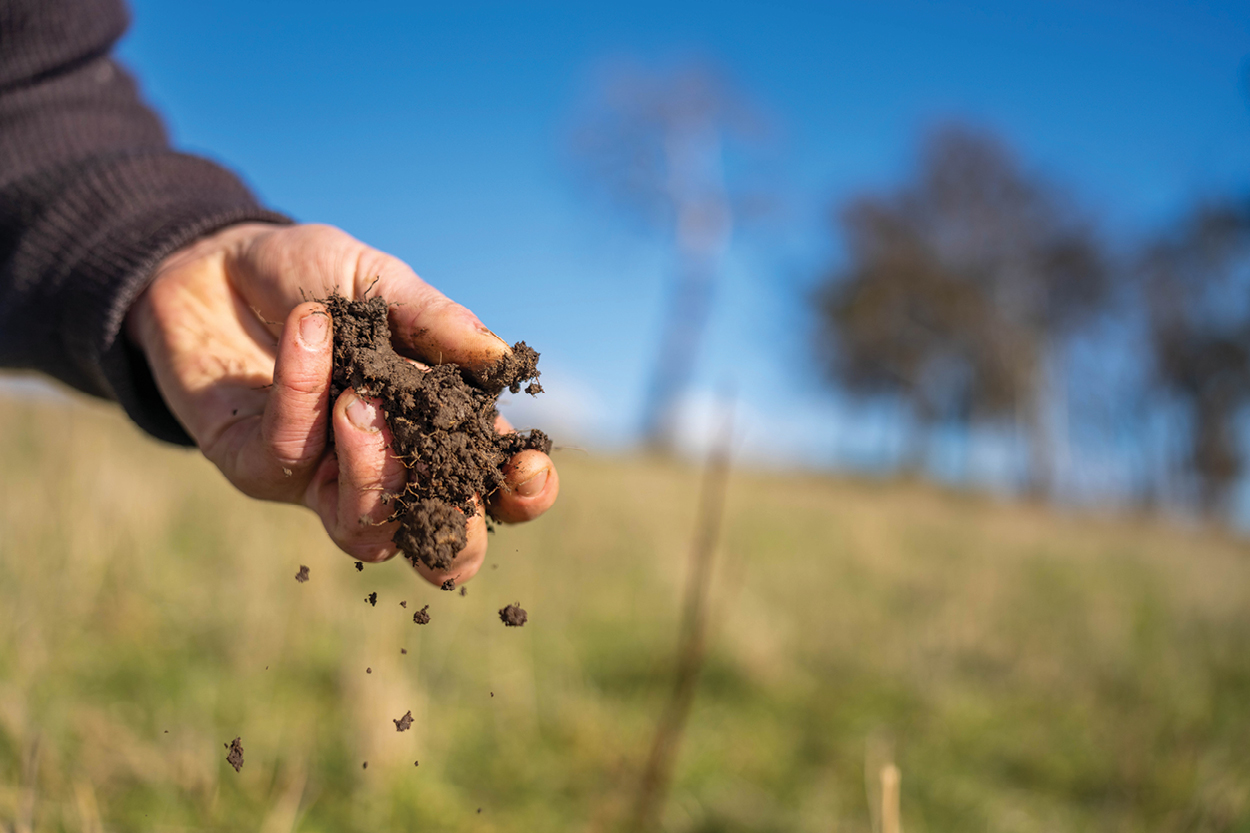 Hand holding a clump of rich soil with a grassy field and blue sky in the background